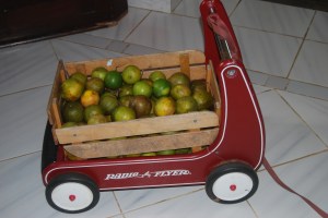 Radio Flyer